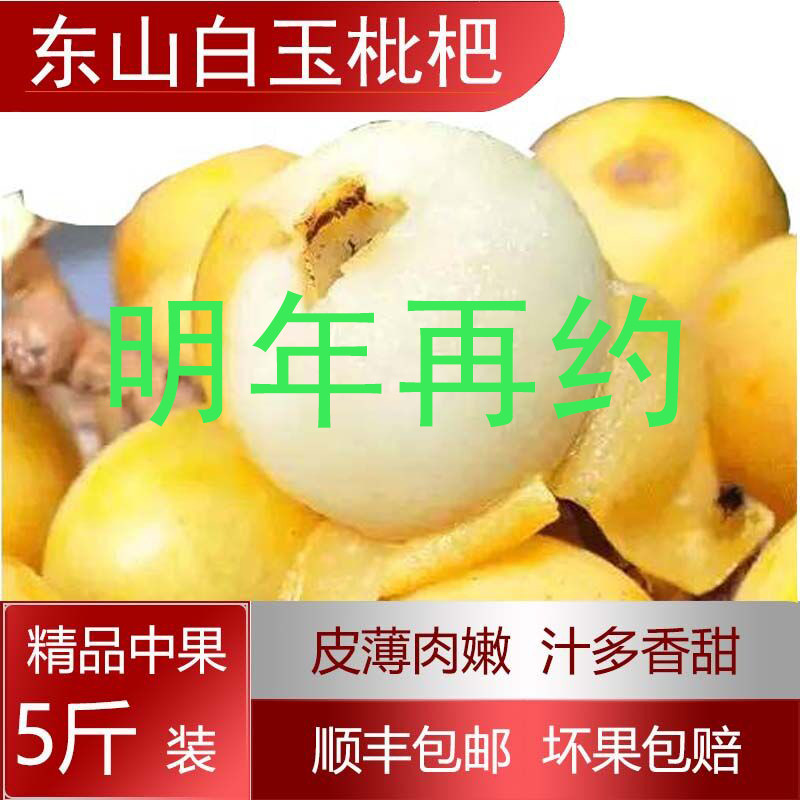正宗洞庭白玉枇杷苏州东山白玉枇杷大果现摘新鲜水果顺丰5斤礼盒图片