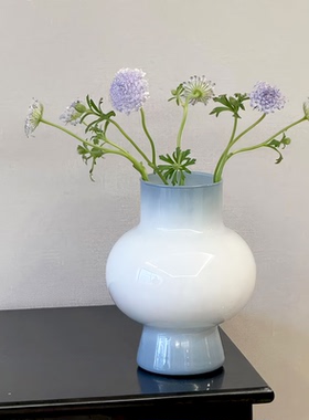 我妈以为很贵的花瓶！其实就10+