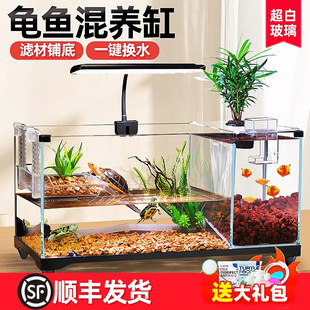 乌龟饲养生态龟缸金鱼龟鱼混养两用鱼缸客厅造景小型缸水陆两栖缸