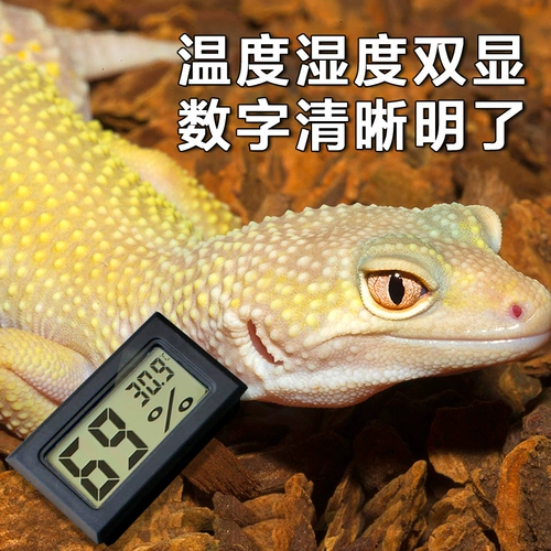 Термометр, термогигрометр, электронный термостат, домашний питомец