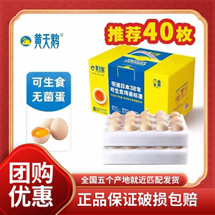 黄天鹅鸡蛋可生食无菌新鲜溏心温泉日本寿喜锅烧日料30枚鲜鸡蛋