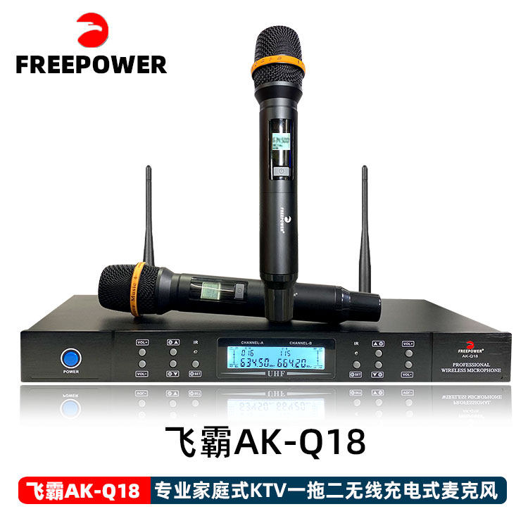 FREEPOWER飞霸专业舞台KTV一拖二手持式充电麦克风内置锂电卡拉OK