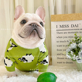 法斗衣服冬天新品 胖狗宠物毛衣 毛衣加密可爱荧光绿狗狗线衫