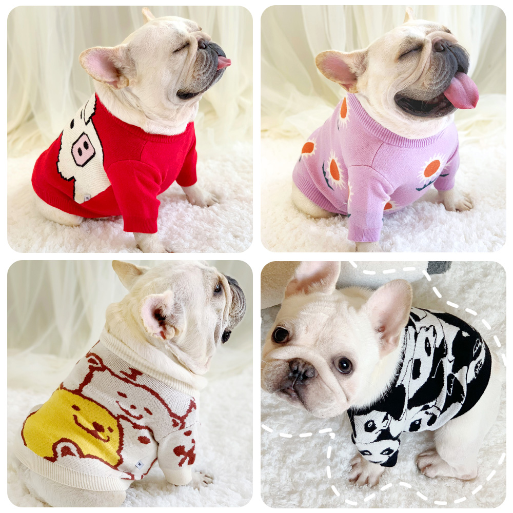 毛线法斗之家法斗毛衣