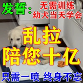 狗狗定点排便神器上厕所诱导剂狗大小便尿垫定点训练 喷哪拉哪