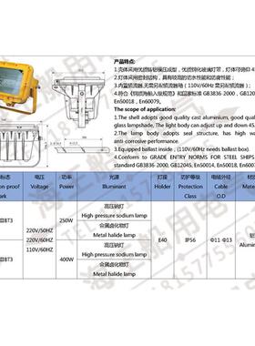 船用防爆投光灯CFT2 IP56铝质 高压钠灯/金属卤化物灯