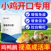 小鸡开口药鸡用预防用雏乐小鸡药雏鸡宝鸡鸭鹅开口乐雏禽开口宝