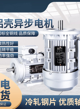 YY6324/7114/7124/0.18/0.25/0.37KW单相铝壳变频电动机220V