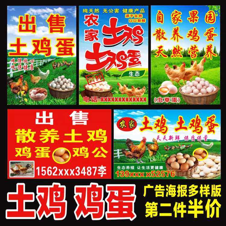 出售卖农家禽土鸡土鸭鹅蛋海报贴纸广告招牌跑地散养鸡布定做制作,个性定制/设计服务/DIY,写真/海报印制,淘宝优惠券,粉丝福利购,淘宝优惠卷