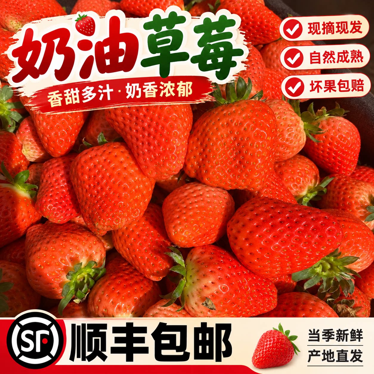 产地直发奶油草莓新鲜现摘现发香甜多汁红颜久久当季水果顺丰包邮