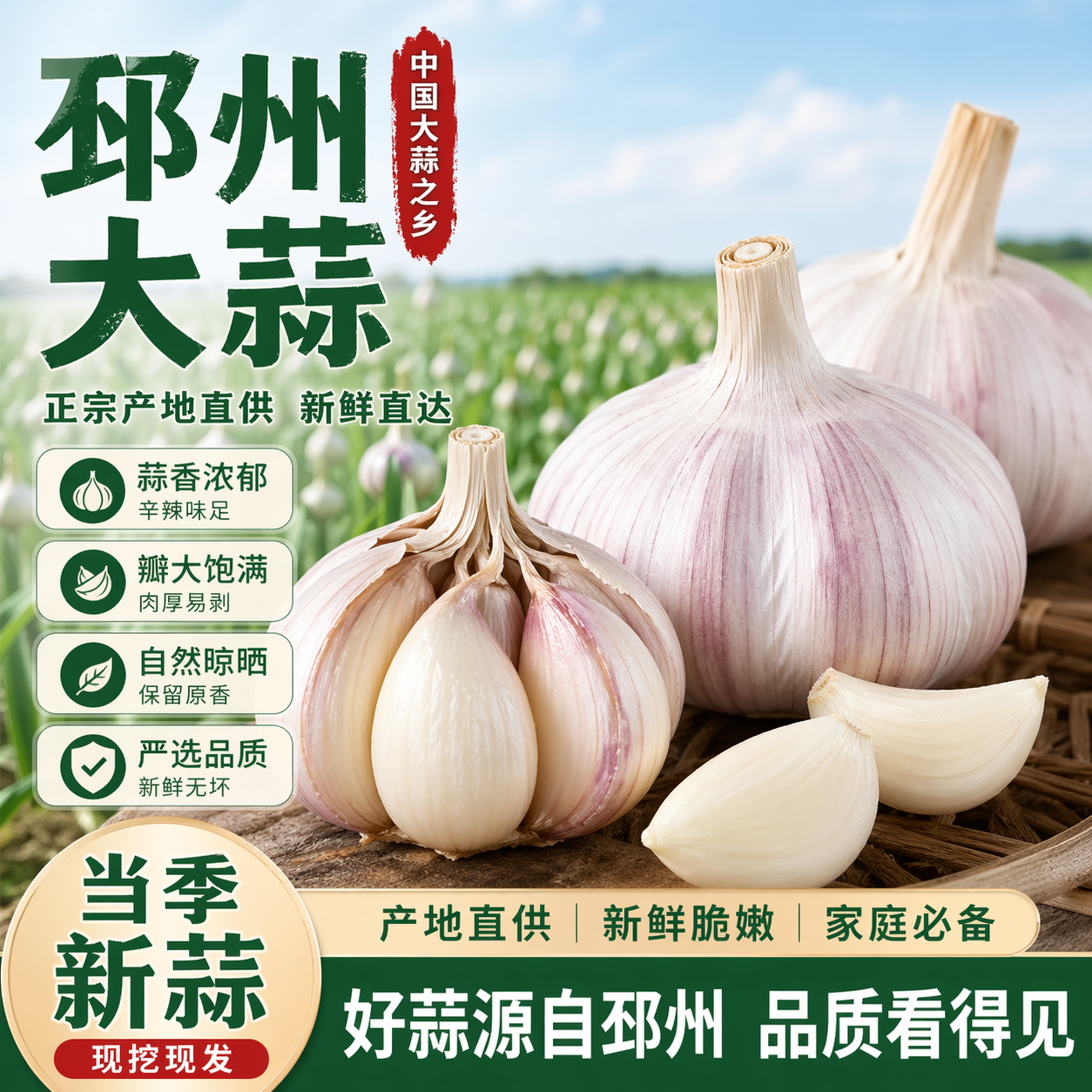 2026年新干蒜邳州紫皮大蒜头农家当新鲜季蔬菜农家自种3斤/5斤