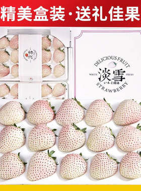 淡雪草莓白粉色草莓日本引进品种新鲜水果送礼品物盒 精品礼盒