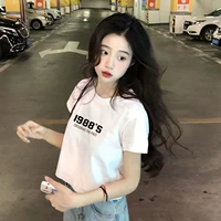 Белый [Средний 19]