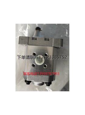 询价包邮30S01Y意大利BONDIOLI&PAVESI齿轮泵HPLPC136DDDG3G3BGR
