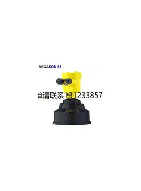 询价VEGASON 63超声波液位计 SN63.XXAAHKMXX