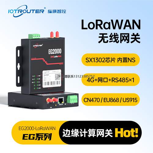询价LoRaWAN无线内置NS工