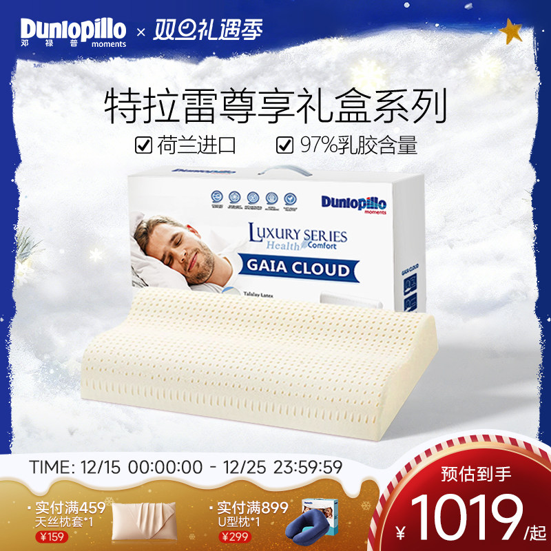 邓禄普特拉雷荷兰波浪枕