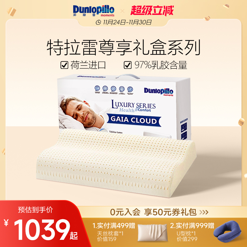 邓禄普特拉雷荷兰波浪枕