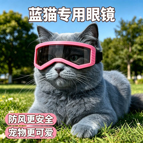 蓝猫专用猫咪眼镜宠物猫头盔小猫