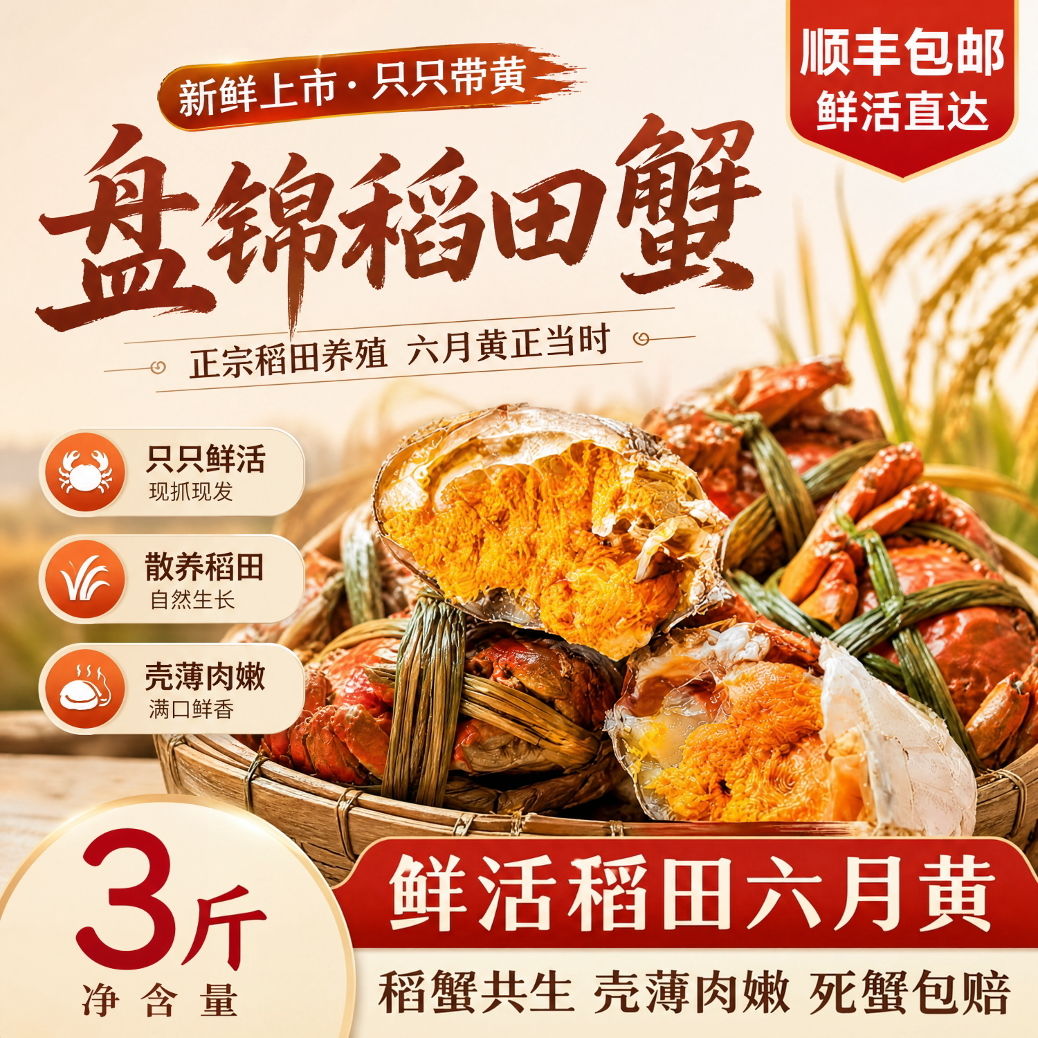 顺丰包邮盘锦鲜活全公大闸蟹