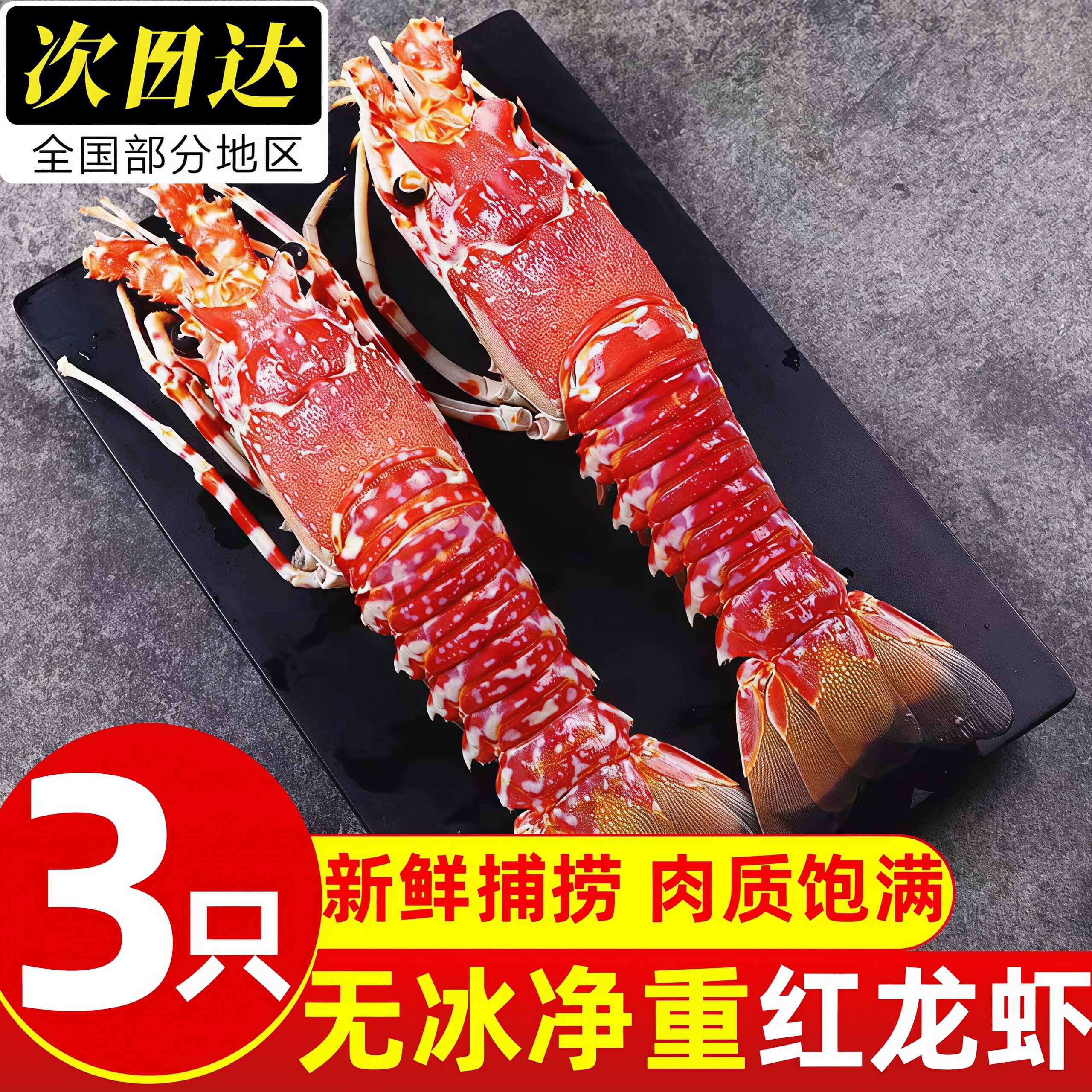 鲜活超大波斯顿角脊龙虾