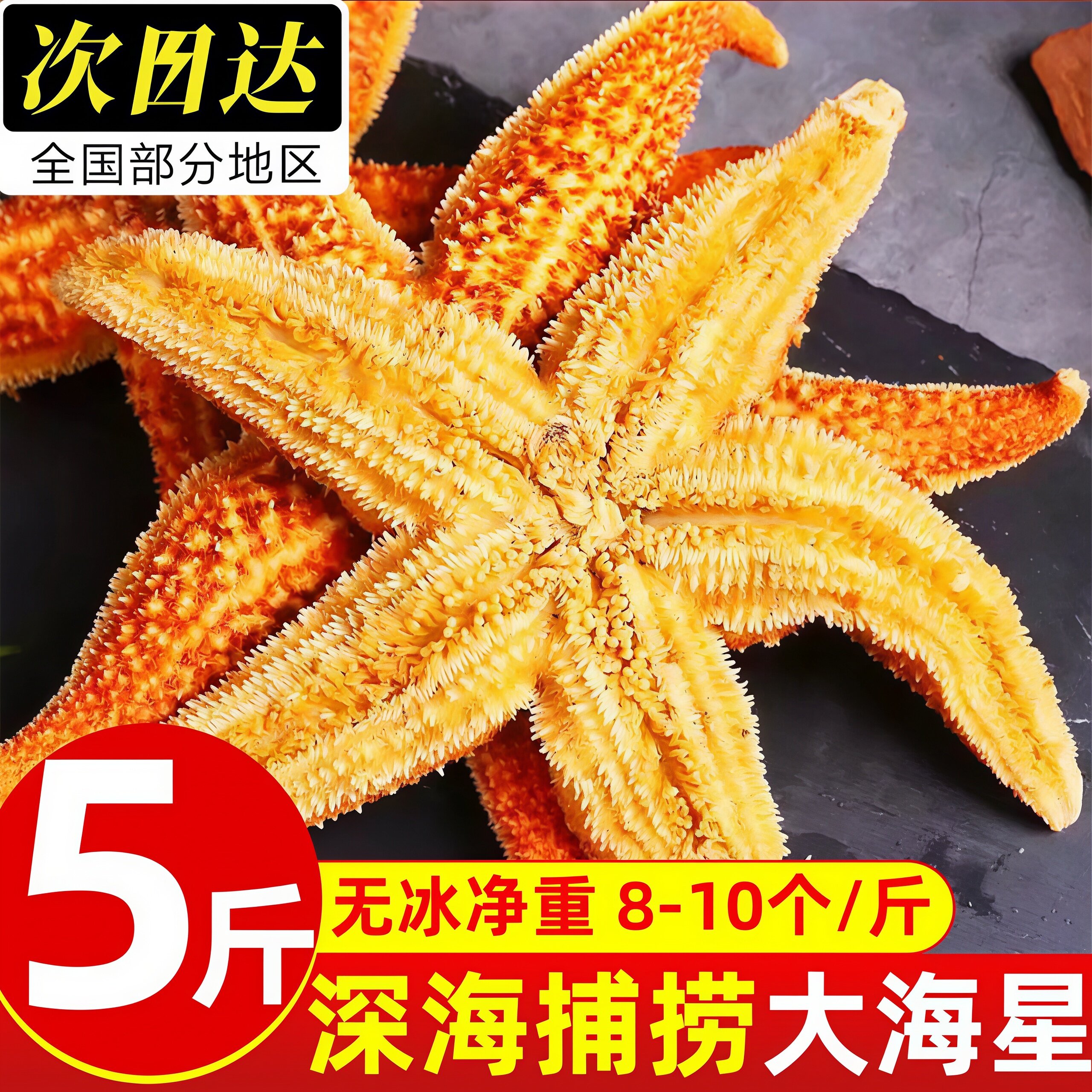野生满籽速冻海星派大星商用