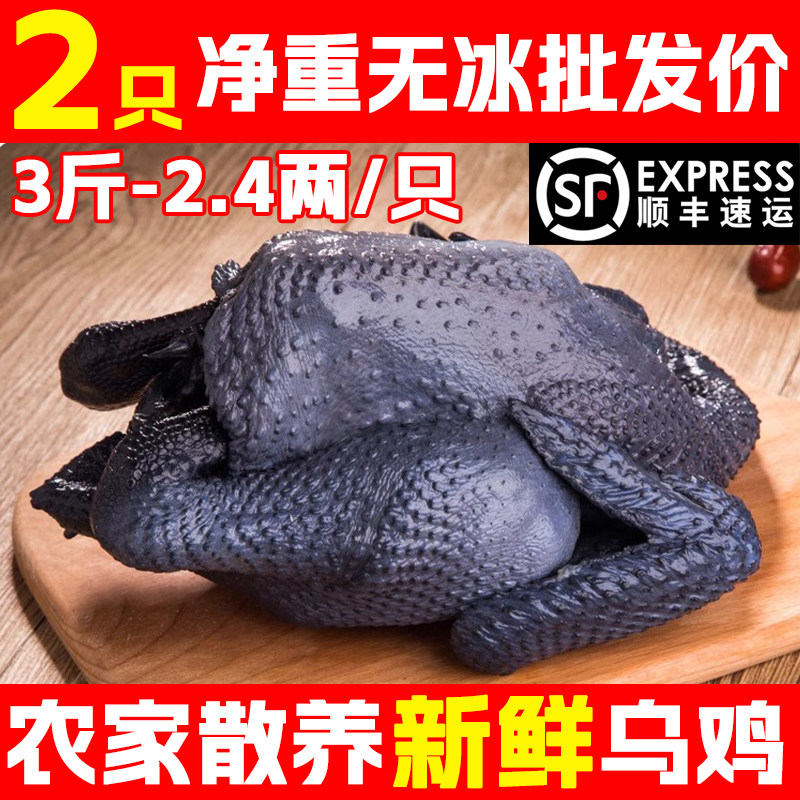 新鲜现杀散养乌鸡整只炖汤顺丰