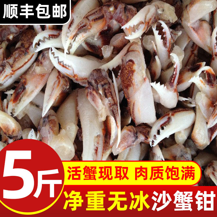 沙蟹钳新鲜蟹腿捞汁小海鲜蟹脚