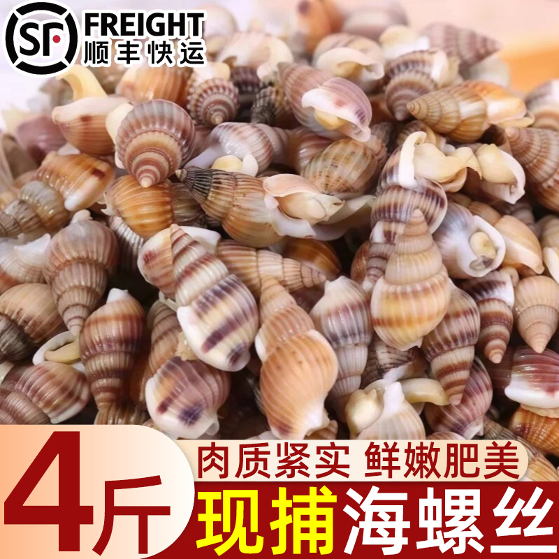 海瓜子熟冻海螺丝麻辣海螺