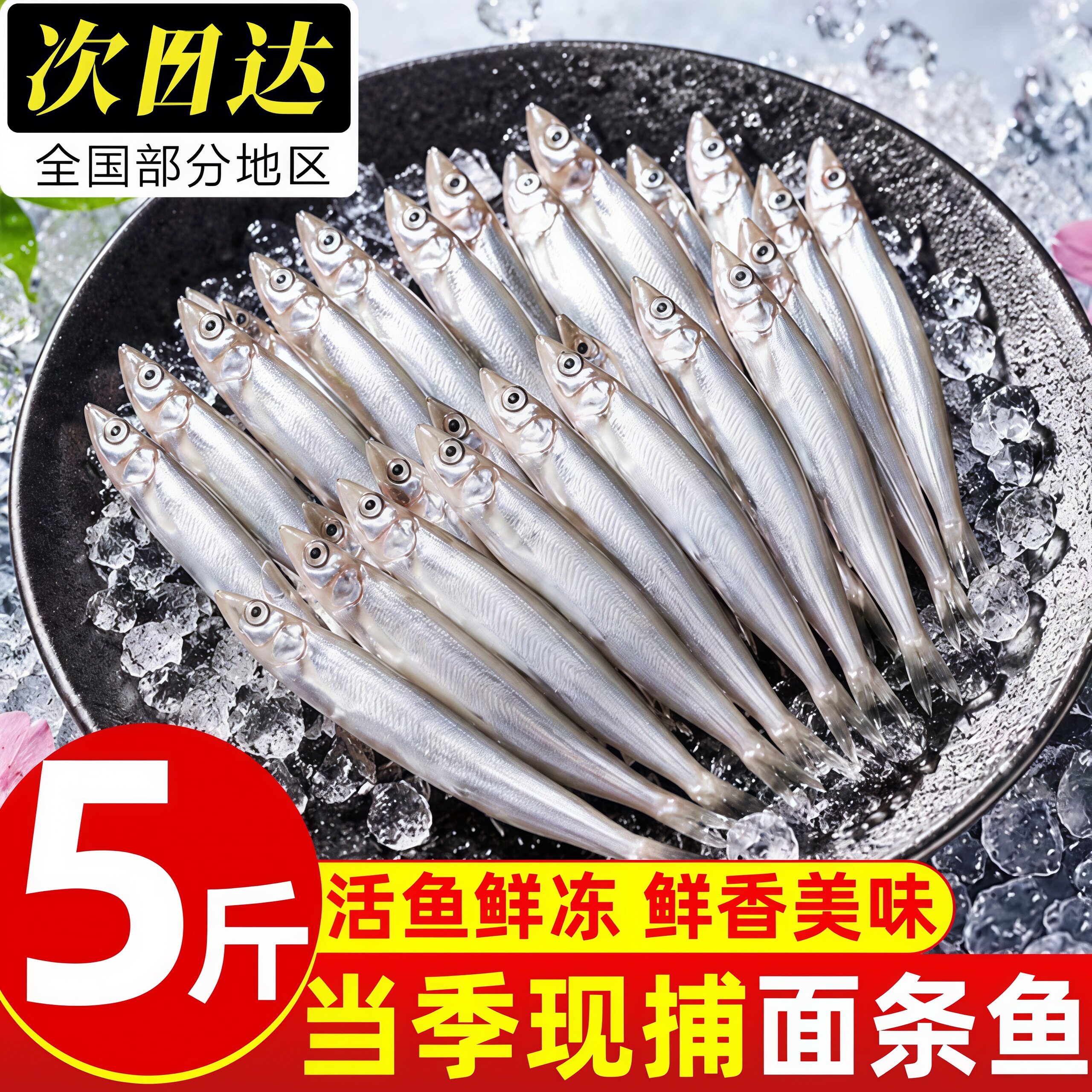 新鲜冷冻海鱼面条鱼小银鱼
