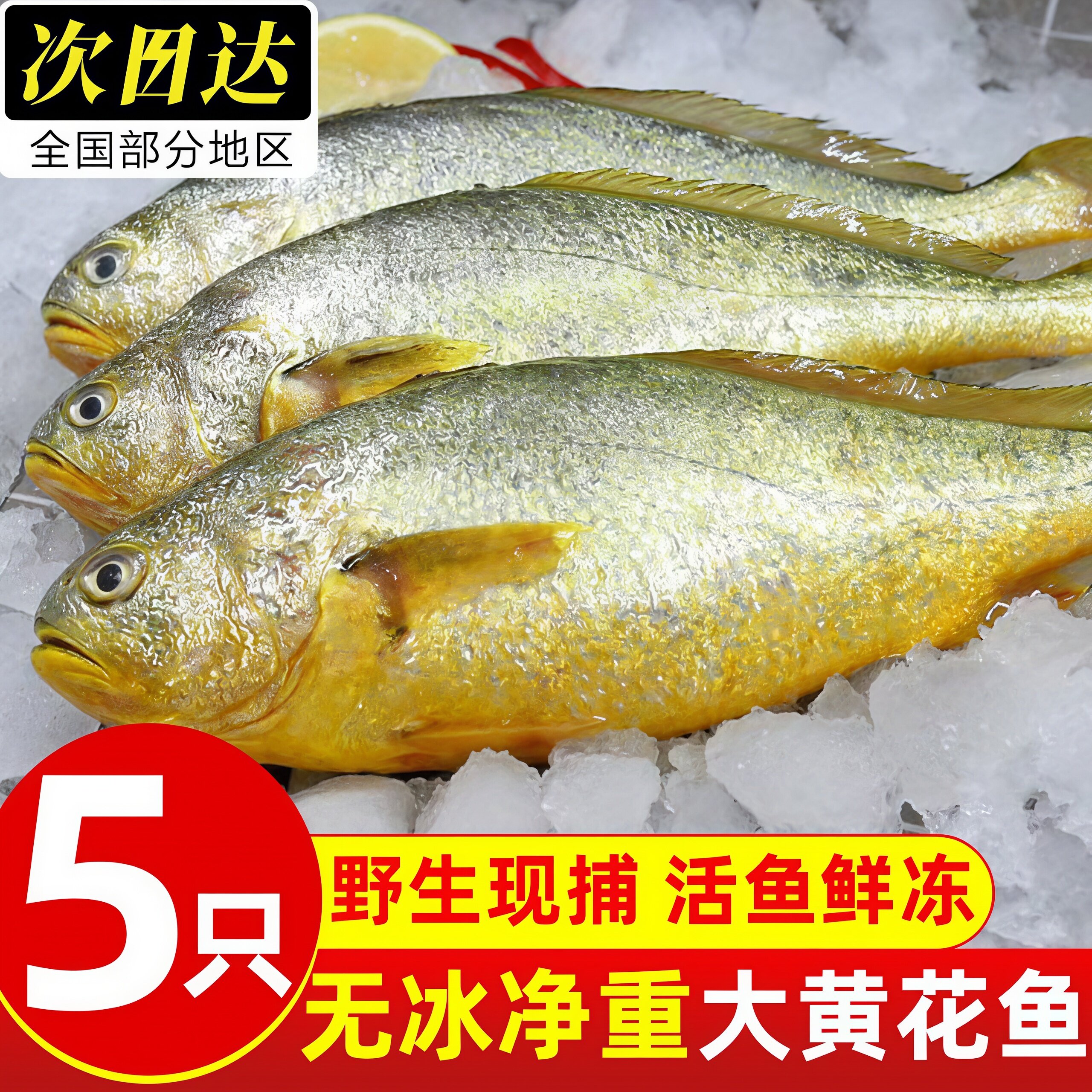 深海特大黄花鱼鲜冻包邮