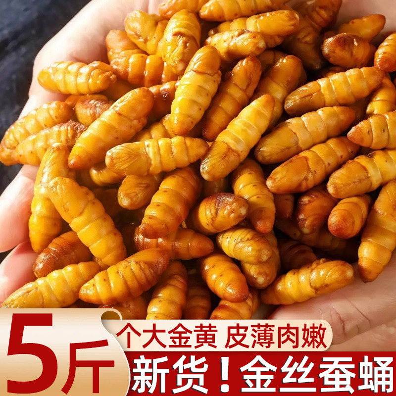 新鲜金丝蚕蛹鲜活冷冻商用烧烤鲜冻山东特产农家桑蚕非蚕蛹干即食