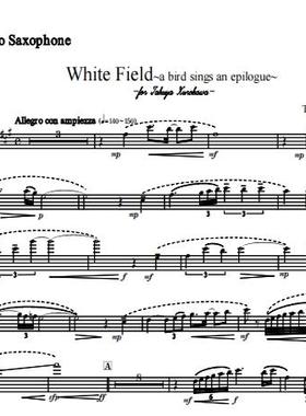 white field 白色旷野一只唱着终曲的鸟儿 萨克斯