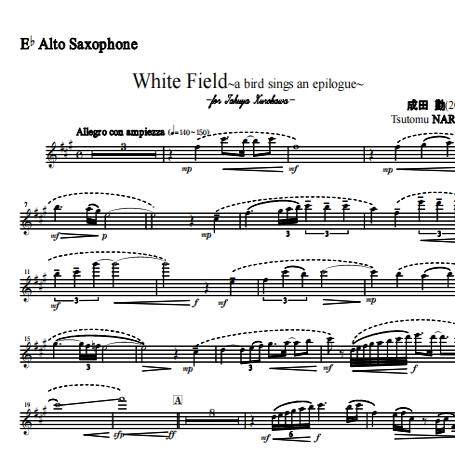 white field 白色旷野一只唱着终曲的鸟儿 萨克斯