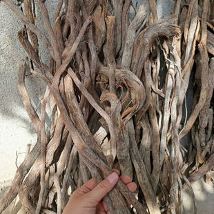 包邮 纯根纯野生铁包金 勾儿茶 乌龙根 小叶铁包金 新鲜晒干500g