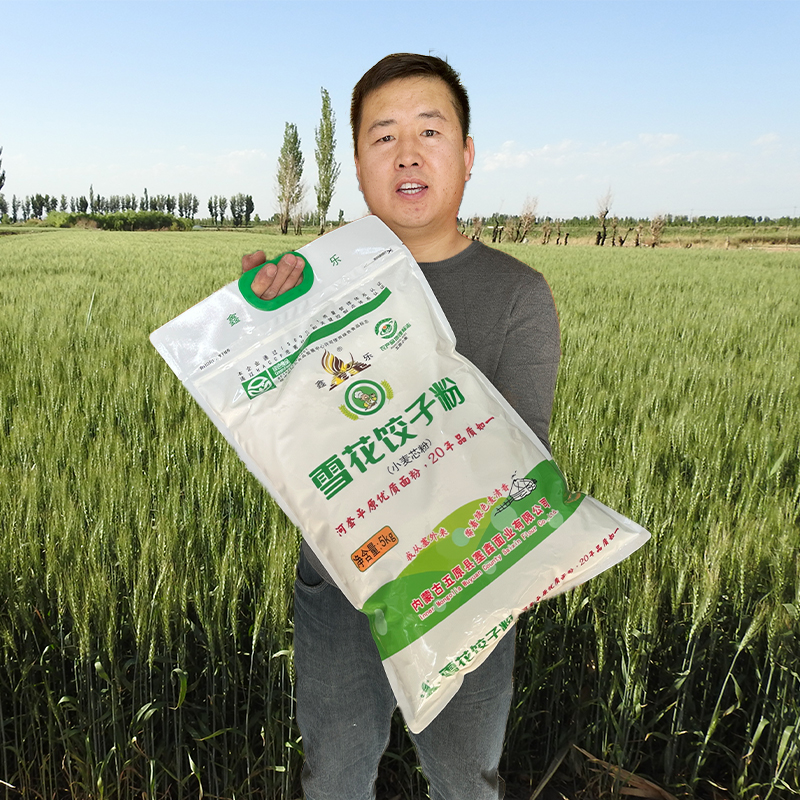 鑫乐雪花饺子粉河套小麦粉不破皮