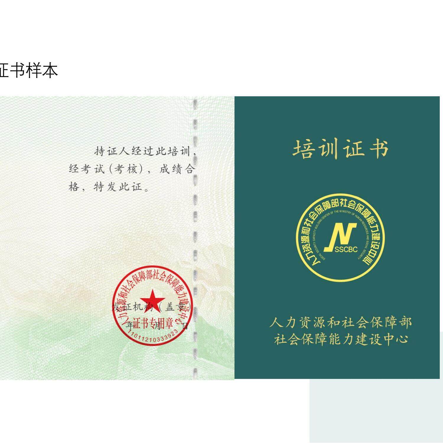 人社能力建设中心心理健康学咨询心理咨询培训