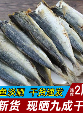 【咸香下饭】开海巴浪鱼干花鳀鱼干新鲜小鱼干肉块咸鱼干干鱼干货