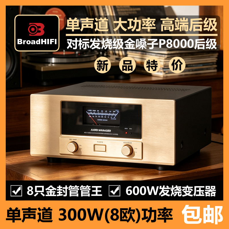 管音者对标 金嗓子P8000家用发烧单声道大功率300W纯后级HIFI功放