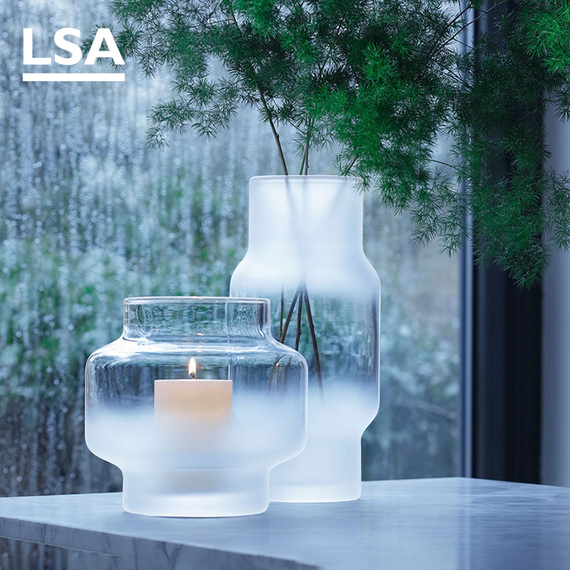 英国lsa创意手工磨砂水培鲜花