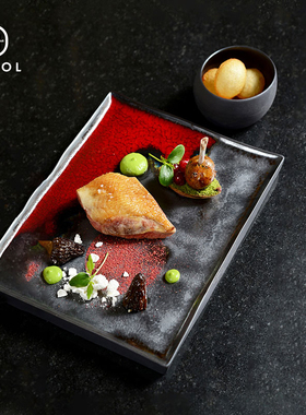 法国Revol陶瓷寿司盘三文鱼刺身盘长方形日料盘子西餐餐具点心盘