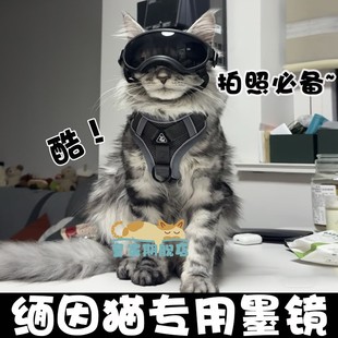 缅因猫专用猫咪眼镜防风宠物墨镜护目镜猫猫头饰公猫帅气拍摄道具