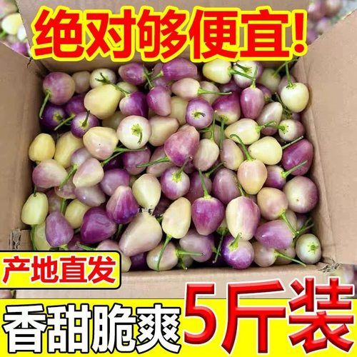 新鲜五彩椒广东七彩椒现摘整箱批