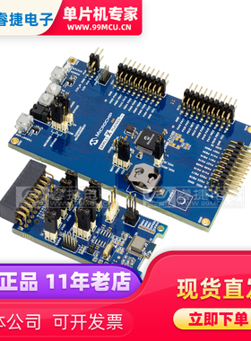 ATBTLC1000ZR-XSTK ATBTLC1000-ZR110CA MODULE BASED 射频收发器