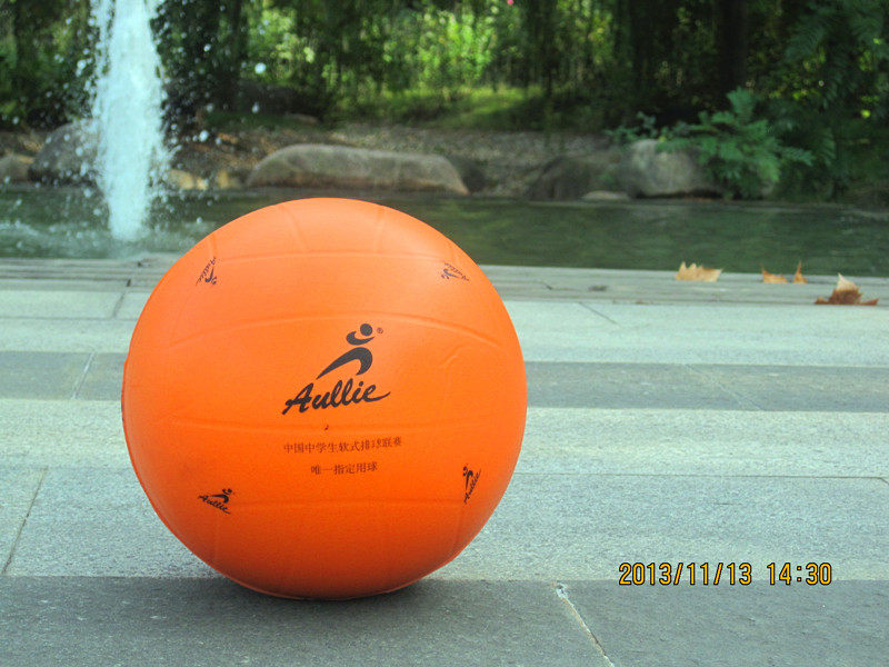 Ballon de volley-ball - Ref 2011204 Image 5