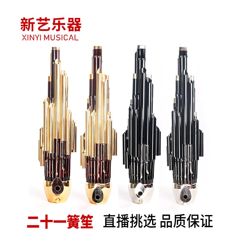 正品新艺 精致加键扩音21簧笙乐器大全圆笙修笙工竽乐器笙包初学