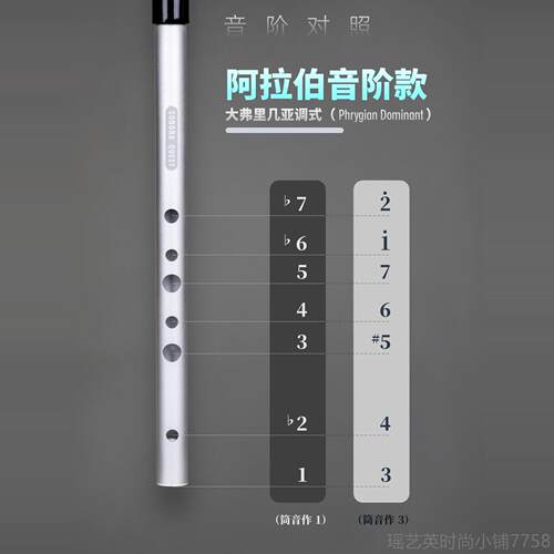 新款SOOR笛A QUESNT哨阿拉高伯音阶调式风格D自然大调省气抗压亢
