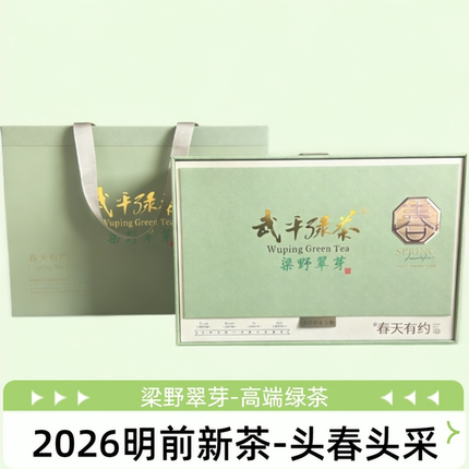 武平绿茶梁野翠芽 2026年新茶 明前春茶  龙井茶芽  高山云雾茶叶