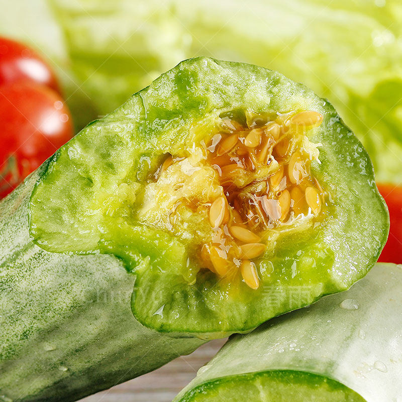 羊角蜜瓜种籽甜瓜苗脆瓜瓜种酥四季种孑秧苗特色山东水果瓜类种子