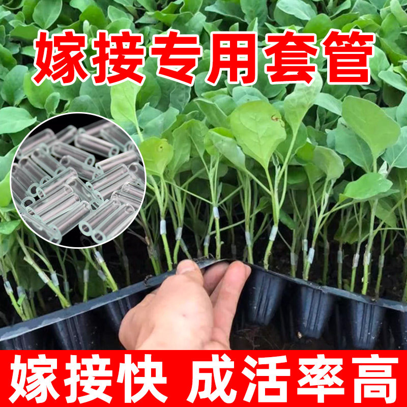 嫁接套管黄瓜通用嫁接夹西瓜苗专用小夹子瓜苗管蔬菜育苗刀工具